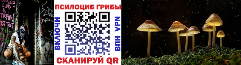 Галлюциногенные грибы Magic Shrooms  Купить  Алушта 