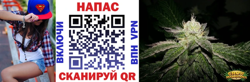 Купить где  Алушта  Марихуана Amnesia 